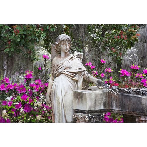 Georgia-Savannah-Bonaventure Cemetery in the spring with azaleas in bloom